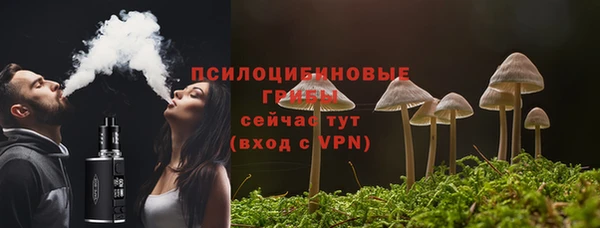 прущая мука Верхний Тагил