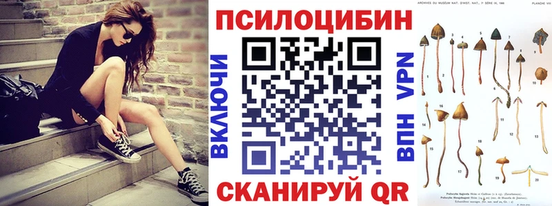 что такое наркотик  Геленджик  Галлюциногенные грибы Psilocybine cubensis 